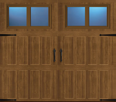 wood-grain-garage-door-image1